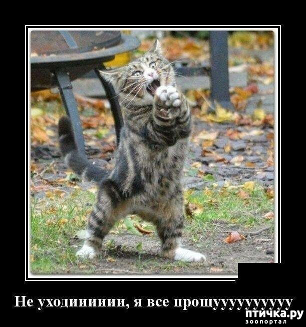 ���� 8: �������� ����)