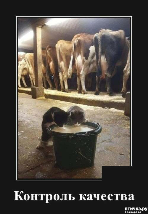 ���� 10: �������� ����)