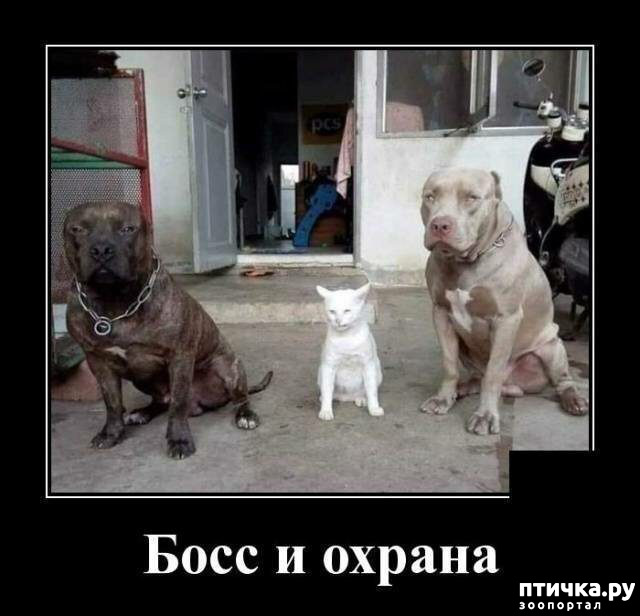 ���� 11: �������� ����)