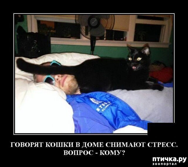 ���� 12: �������� ����)