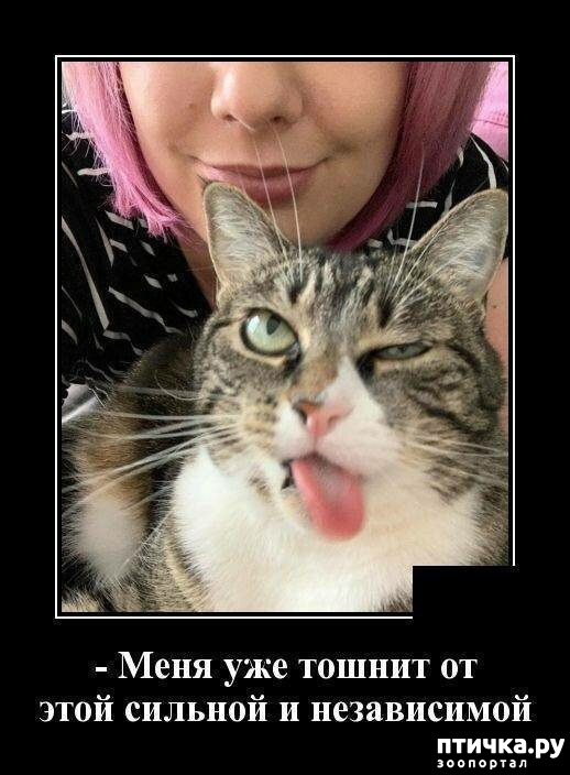 ���� 14: �������� ����)