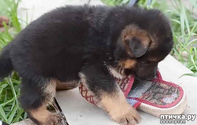 ���� 2: ����� :-)