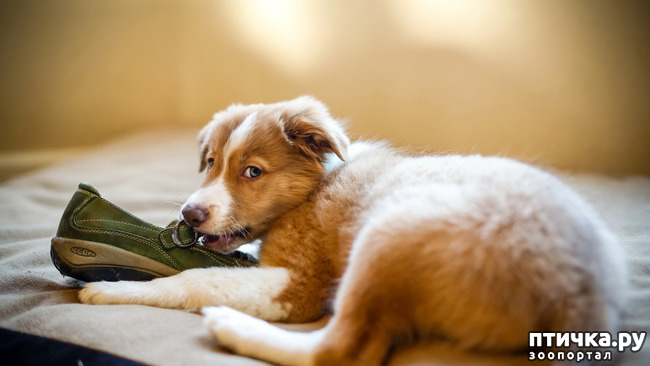 ���� 1: ����� :-)