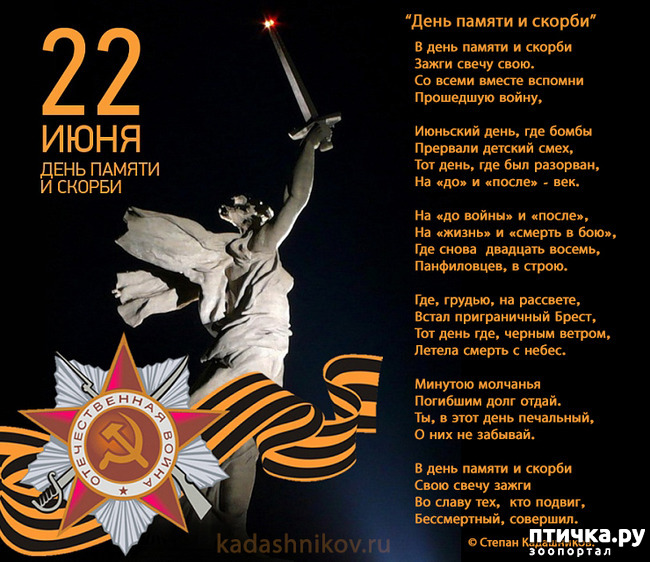 ���� 5: 22 ����. ���� ������ � ������.