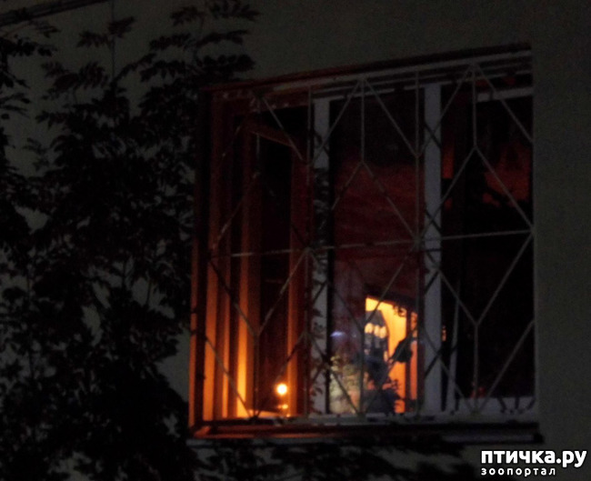 ���� 6: 22 ����. ���� ������ � ������.