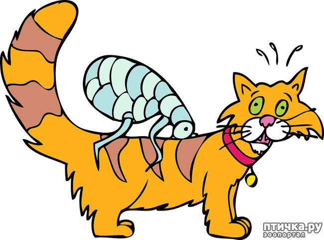 ���� 1: ������ ��������� ������ �� �������� �������