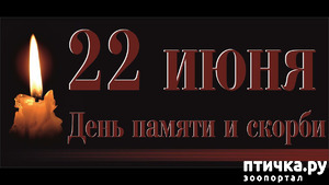 фотография: 22 июня. День памяти и скорби. фото: 22 июня. День памяти и скорби.
