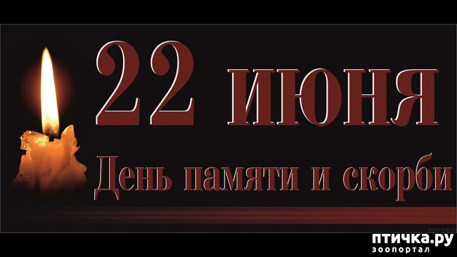 ���� 1: 22 ����. ���� ������ � ������.