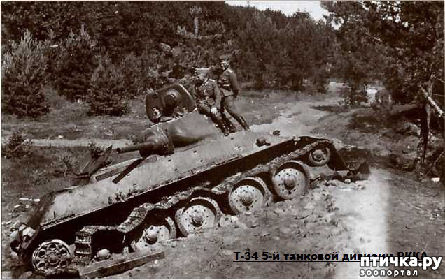 ���� 2: 22 ����. ���� ������ � ������.