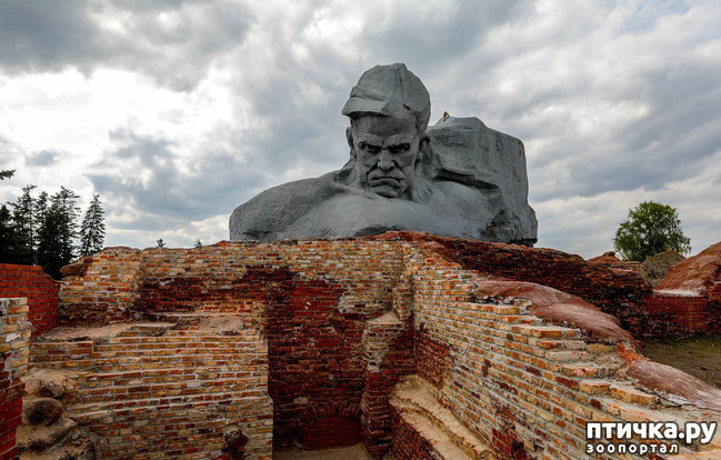 ���� 3: 22 ����. ���� ������ � ������.