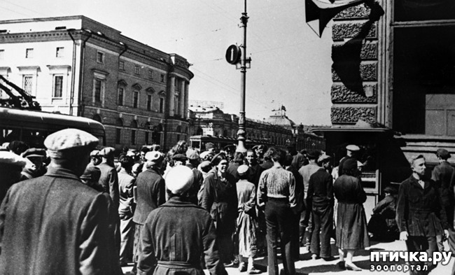 ���� 4: 22 ����. ���� ������ � ������.