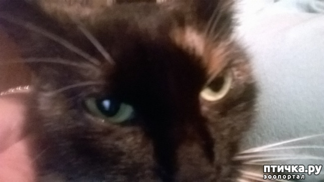 ���� 5: ���������. ������������ - ����������� � �����������.