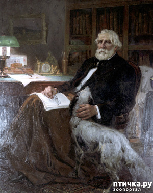 ����: ���� ��������. ������. ������������� � �����.