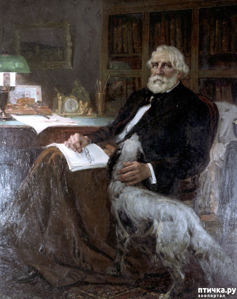 ���� 1: ���� ��������. ������. ������������� � �����.