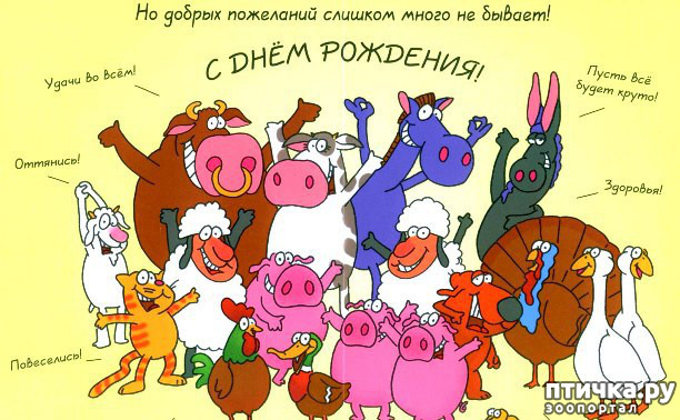 ���� 5: ������ � �������