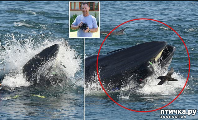 ���� 1: ��� ��������� �������: �� ���� ����������� ����� �� �����������