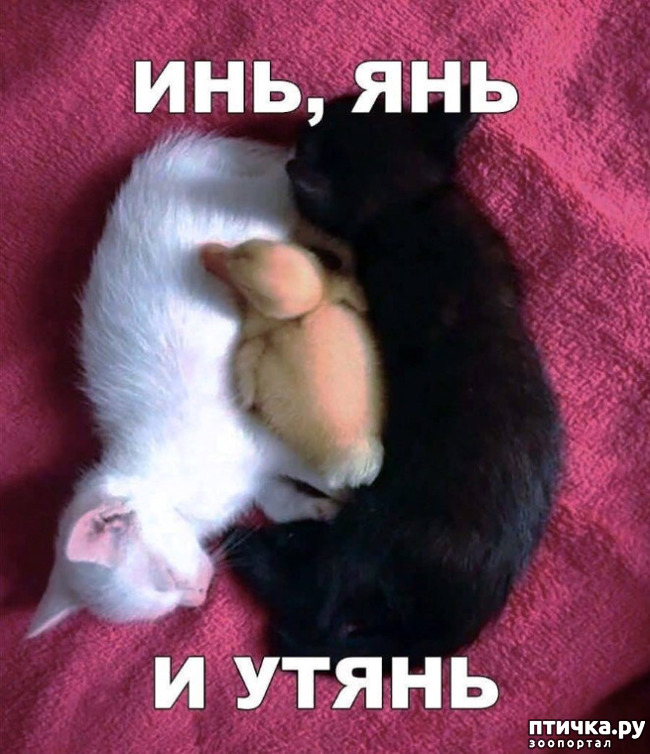 ���� 1: ��� � ���