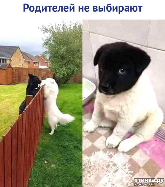 ���� 1: ��������� �� ��������