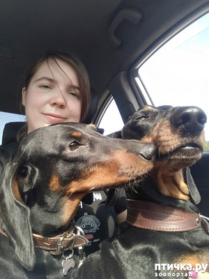 ����: ������ ���. ���� 2019