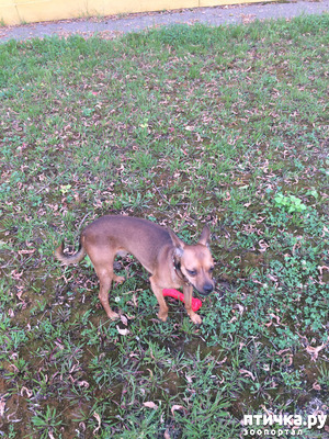 ����: ��������, ����� �����! ����� ������, ������������!!! ������ �������� ����� ���� 6 ���! ����� ������������ ��� ������ ��������! ��� ����� � ������ ����, ���, ��� �� ��������� �� ���� ���� ������, ����� ���� �� ������� � ��