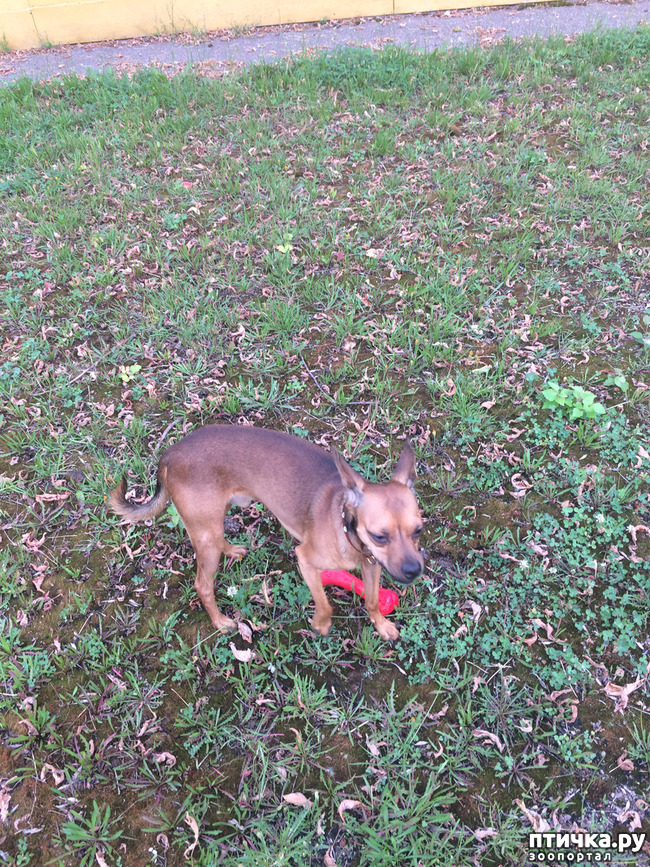 ���� 1: ��������, ����� �����! ����� ������, ������������!!! ������ �������� ����� ���� 6 ���! ����� ������������ ��� ������ ��������! ��� ����� � ������ ����, ���, ��� �� ��������� �� ���� ���� ������, ����� ���� �� ������� � ��