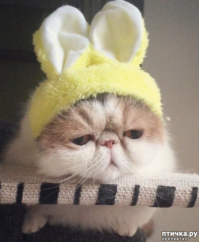 ���� 3: ���������