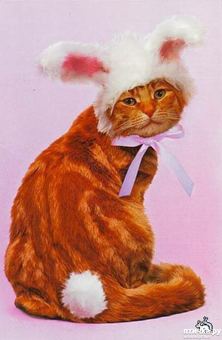 ���� 2: ���������