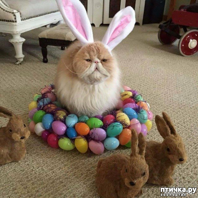 ���� 11: ���������