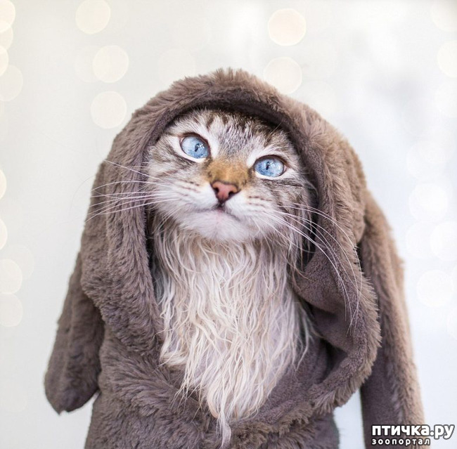 ���� 30: ���������