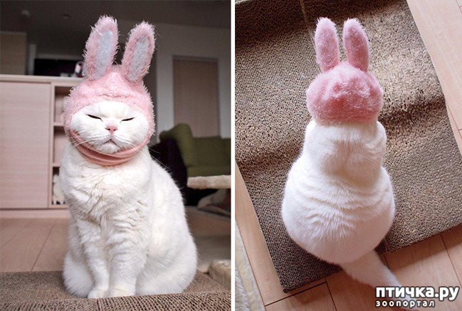 ���� 5: ���������