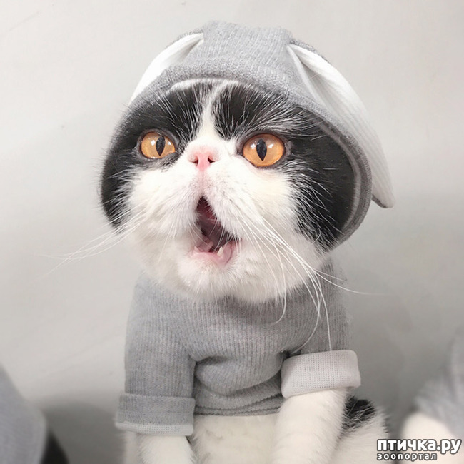 ���� 7: ���������