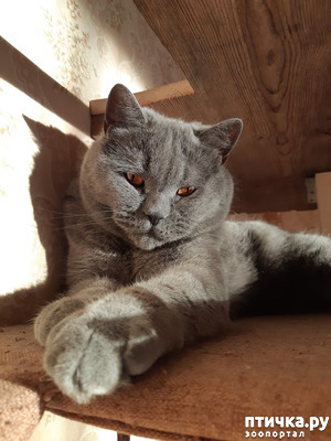 ����: ������� � �������