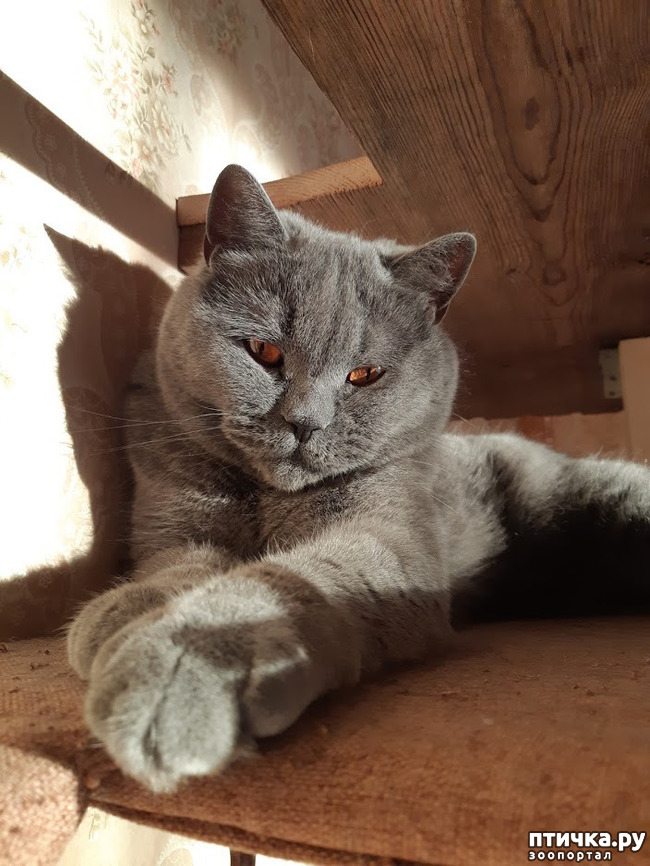 ���� 1: ������� � �������