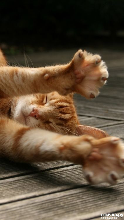 ���� 2: ������� � �������