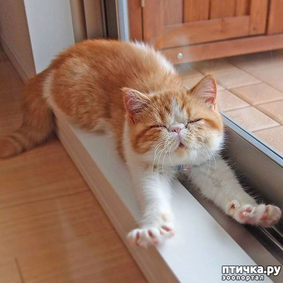 ���� 3: ������� � �������