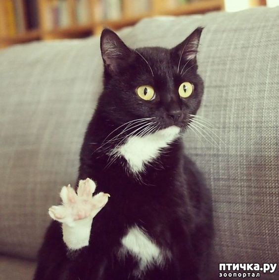 ���� 4: ������� � �������