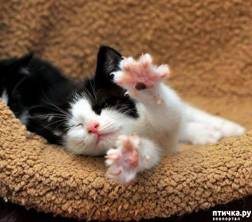 ���� 5: ������� � �������