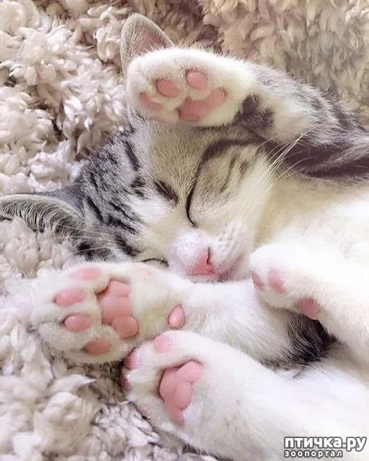 ���� 6: ������� � �������