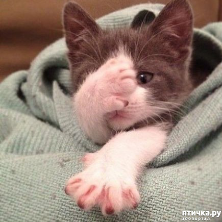 ���� 7: ������� � �������