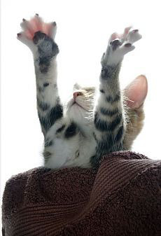 ���� 8: ������� � �������