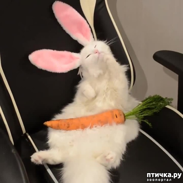 ���� 12: ���������