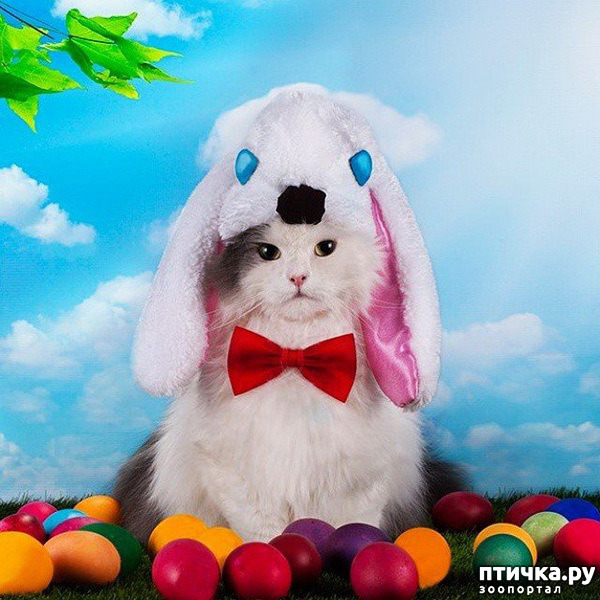 ���� 14: ���������