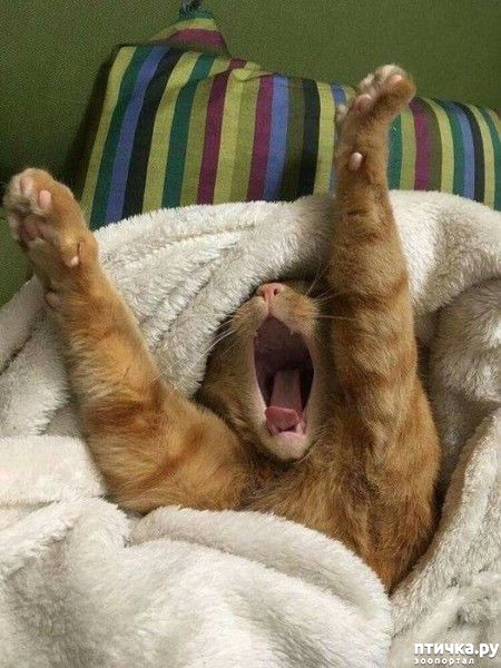 ���� 9: ������� � �������