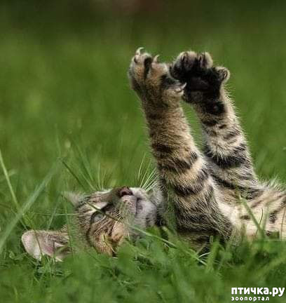 ���� 10: ������� � �������