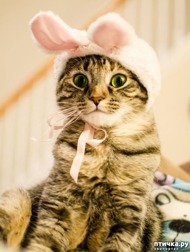 ���� 17: ���������