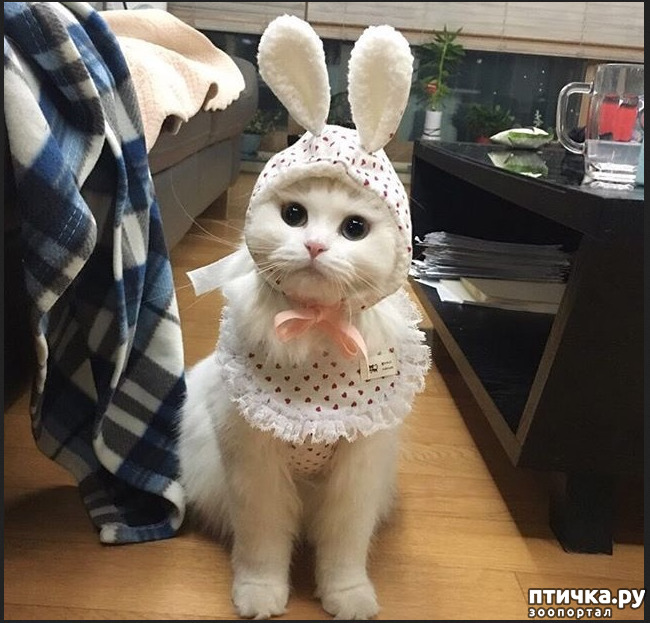 ���� 16: ���������