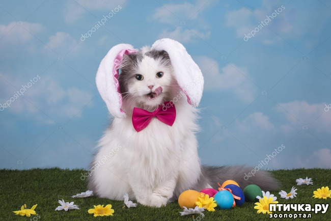 ���� 19: ���������