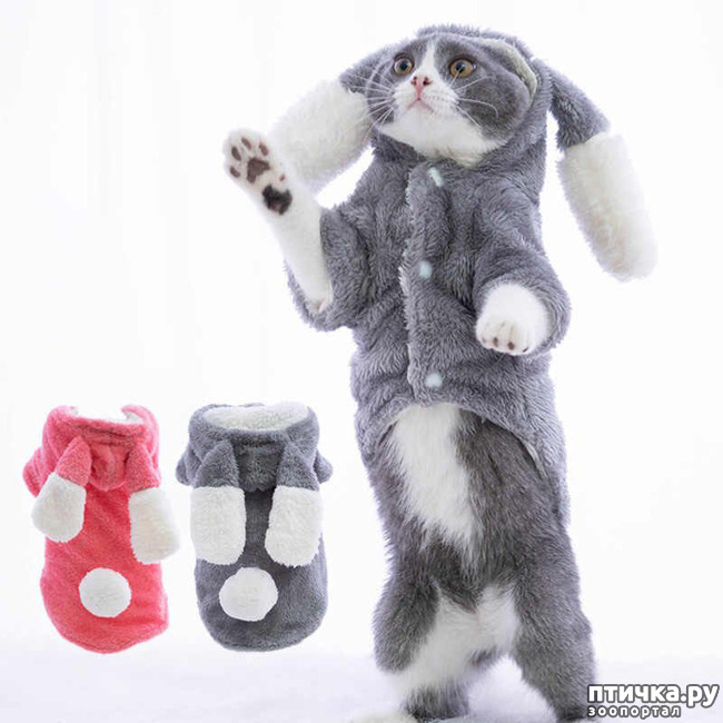 ���� 20: ���������