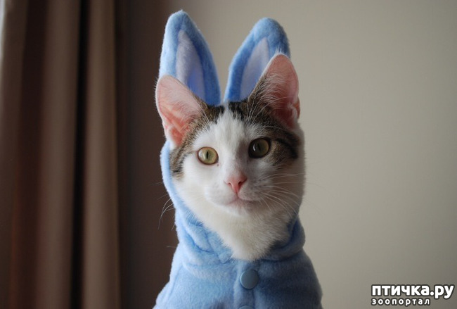 ���� 25: ���������