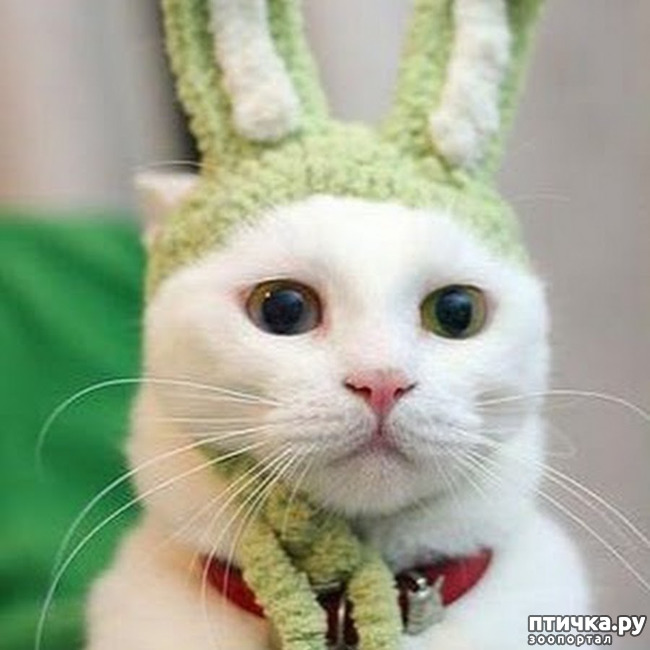 ���� 26: ���������